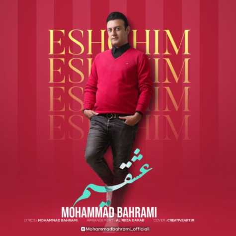 mohammad bahrami eshghim 2023 04 13 18 08