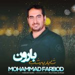 دانلود آهنگ محمد فربد شاید یه شب بارون