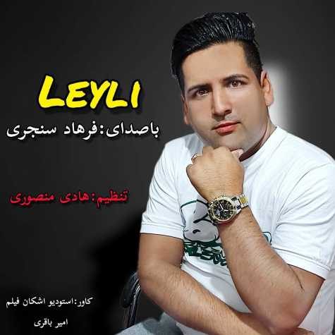 farhad sanjari leyli 2023 06 05 23 15