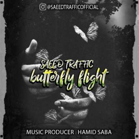 saeed traffic butterfly flight 2023 08 27 19 10