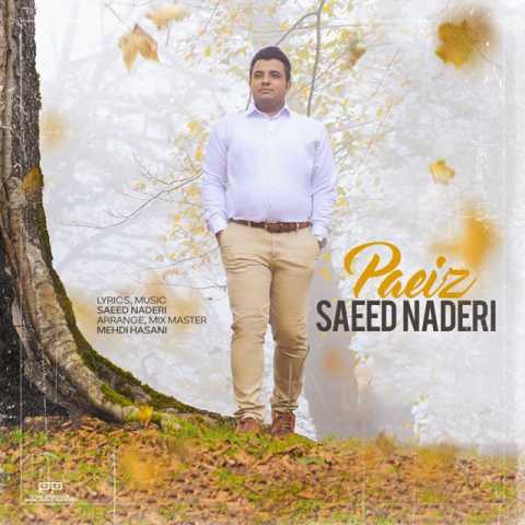 saeed naderi paeiz 2023 11 02 12 25