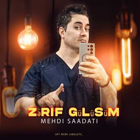 mehdi saadati zerif gulusum 2024 08 28 20 15