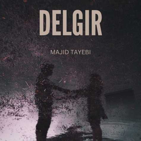 majid tayebi delgir 2024 11 29 13 50