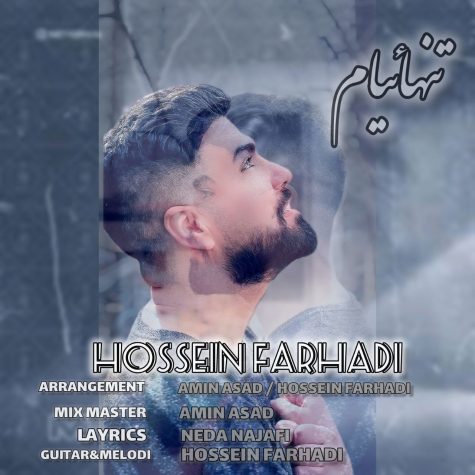 hossein farhadi tanhaeiyam 2024 12 31 18 05