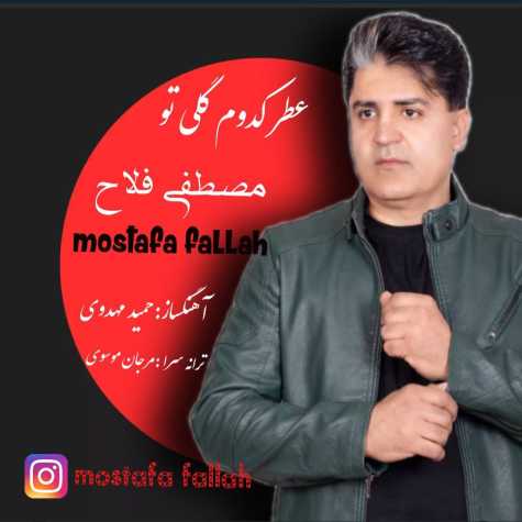 mostafa fallah atre kodoom goli to 2024 12 13 19 44