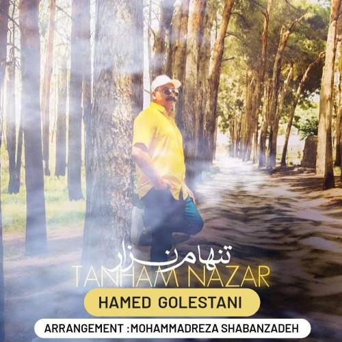 hamed golestani tanham nazar 2025 05 28 23 05
