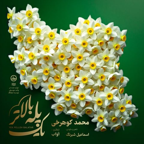 دانلود آهنگ محمد کوهرخی یک پله بالاتر 1 mohammad koohrokhi yek pelle balatar 2025 05 03 18 25