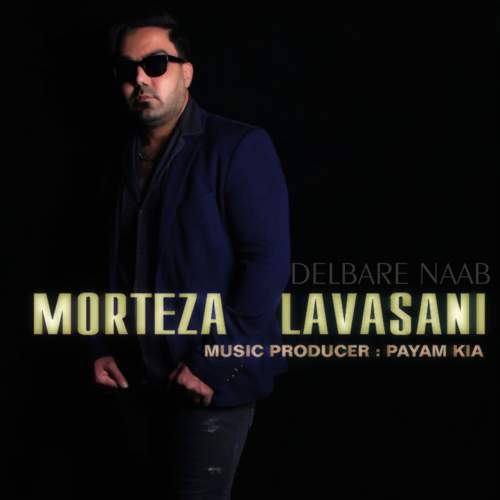دانلود آهنگ مرتضی لواسانی دلبر ناب 1 morteza lavasani delbare nab 2025 05 03 21 20