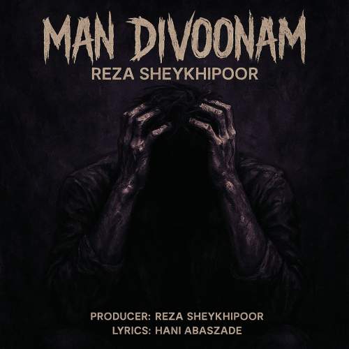 reza sheykhipoor man divoonam 2025 05 29 13 35
