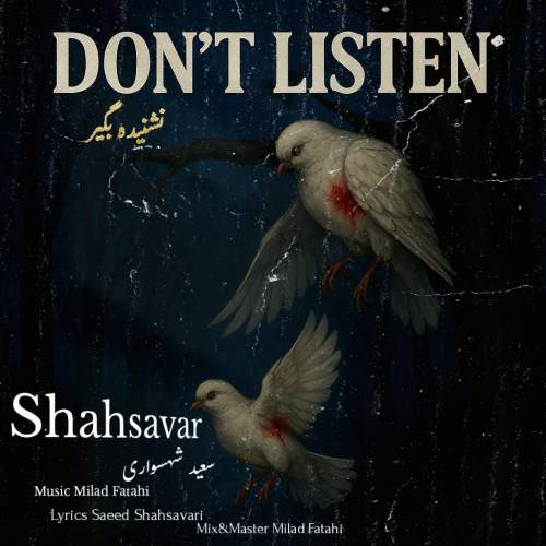دانلود آهنگ سعید شهسواری نشنیده بگیر (شهسوار) 1 saeed shahsavari shahsavar nashnide begir 2025 05 20 14 45
