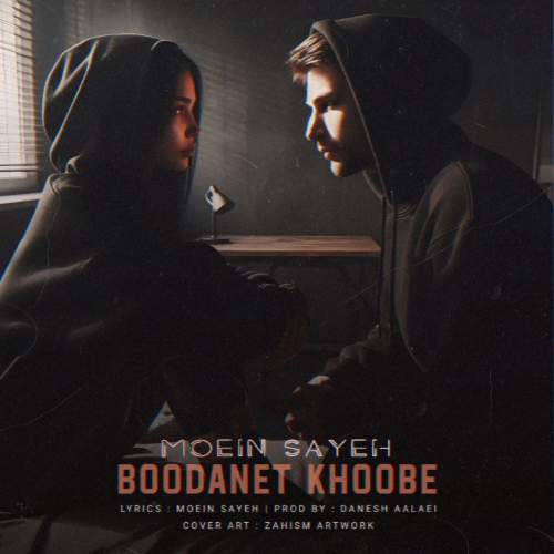 moein sayeh boodanet khoobe 2025 06 09 16 05