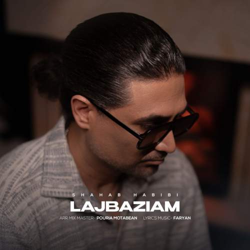 دانلود آهنگ شهاب حبیبی لجبازیام 1 shahab habibi lajbaziam 2025 08 27 17 55