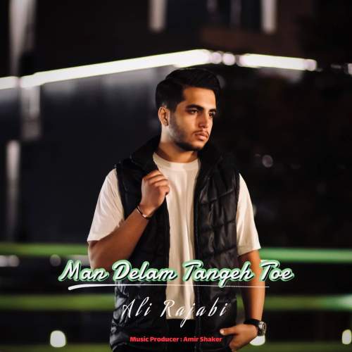 دانلود آهنگ علی رجبی من دلم تنگ توئه 1 ali rajabi man delam tange toe 2025 10 15 03 10