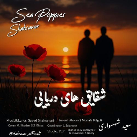 saeed shahsavari shahsavar sea poppies 2025 11 12 21 20