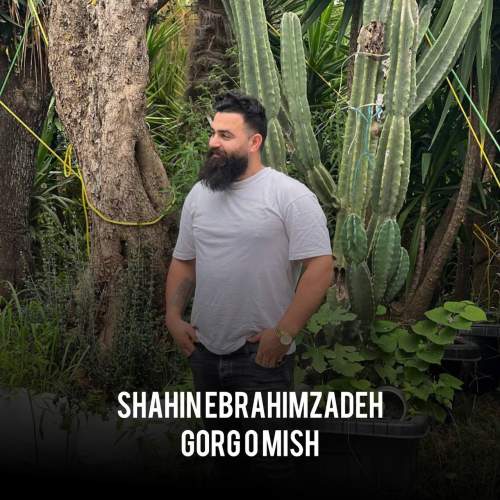 دانلود آهنگ شاهین ابراهیم زاده گرگ و میش 1 shahin ebrahimzadeh gorg o mish 2025 11 07 18 45