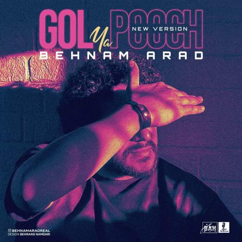 دانلود آهنگ بهنام آراد گل یا پوچ (ورژن جدید) 1 behnam arad gol ya pooch 2025 12 18 16 25