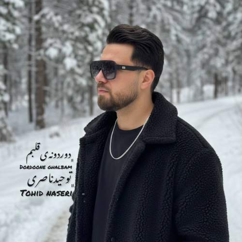 tohid naseri dordooneye ghalbam 2025 12 26 02 20