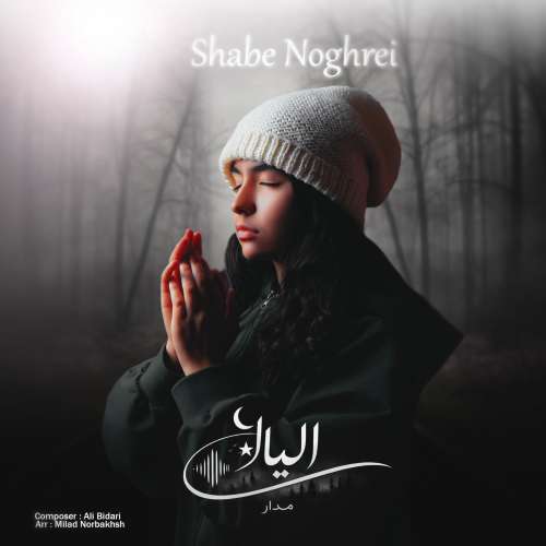 elyana madar silver night 2026 01 28 13 00