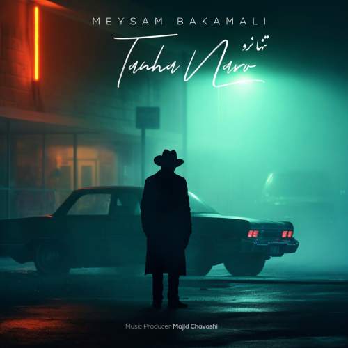 meysam bakamali tanha naro 2026 01 05 22 55