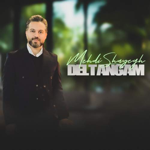 mehdi shayegh deltangam 2026 02 01 23 50