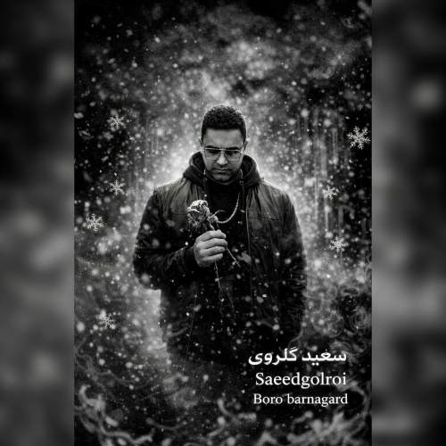 دانلود آهنگ سعید گلروی برو برنگرد 1 saeed golroi boro barnagard 2026 02 25 11 20
