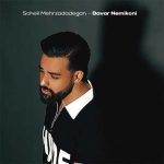 دانلود آهنگ سهیل مهرزادگان باور نمیکنی (دلی)