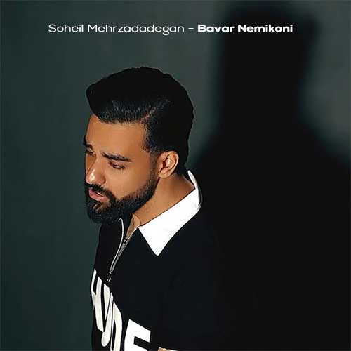 دانلود آهنگ سهیل مهرزادگان باور نمیکنی (دلی) 7 soheil mehrzadadegan bavar nemikoni 2026 02 10 02 15