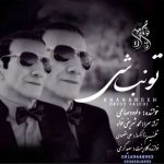 دانلود آهنگ داوود صالحی تو نباشی