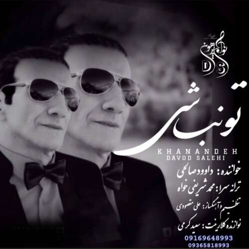 دانلود آهنگ داوود صالحی تو نباشی 1 davod salehi to nabashi 2026 06 19 22 40