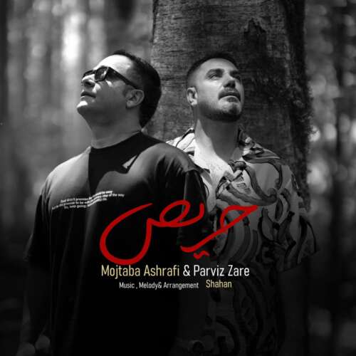 mojtaba ashrafi ft parviz zare haris 2026 07 11 18 40