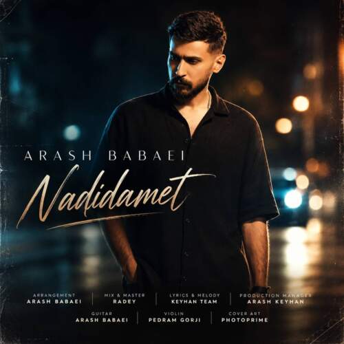 arash babaei nadidamet 2026 08 05 23 36