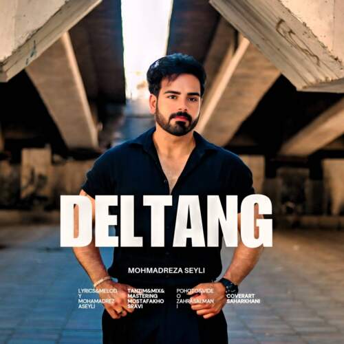 mohamadreza seyli deltang 2026 08 05 23 36