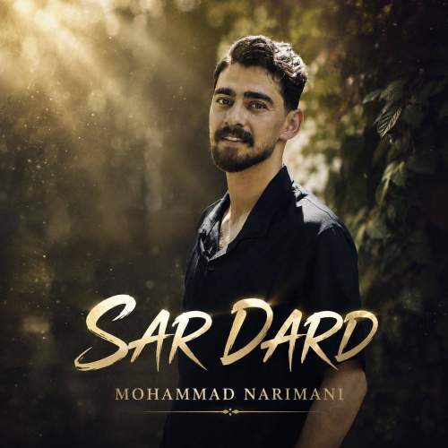 mohammad narimani sardard 2026 08 17 07 59