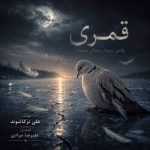 دانلود آهنگ علی ترکاشوند قُمری دانلود آهنگ علی ترکاشوند قُمری