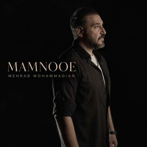 mehrab mohammadian mamnooe 2026 10 03 16 55